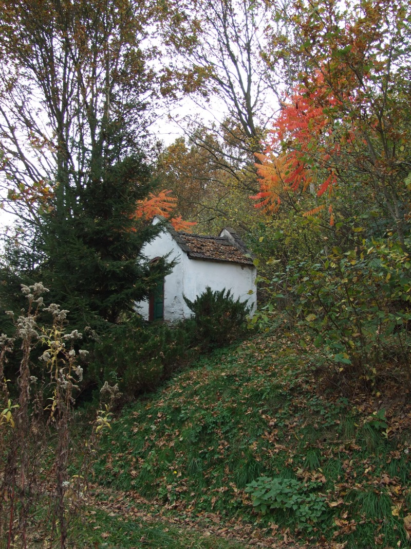 Wyr. Agata Ciesielska